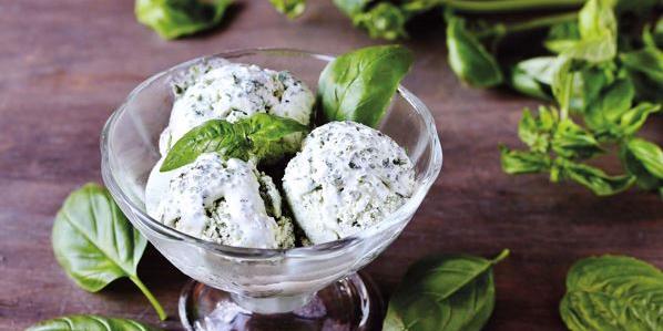 Basilikumeiscreme Basilikumeiscreme