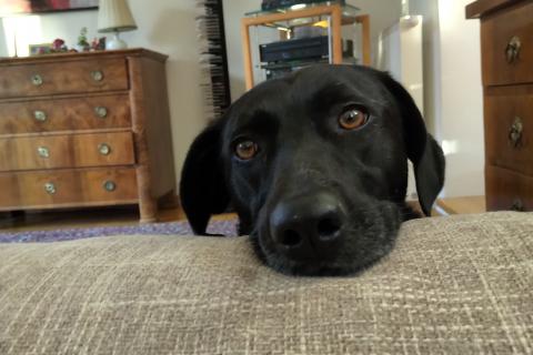 img_20221208_1446143 img_20221208_1446143